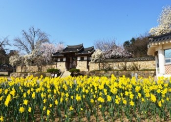 [서해금빛열차+예산관광택시]아름다운 예산 아그로랜드+예산시장