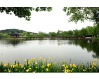 공주 마곡사&부여 정림사지&궁남지 @2식 제공 당일 기차여행