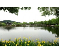 공주 마곡사&부여 정림사지&궁남지 @2식 제공 당일 기차여행