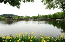 공주 마곡사&부여 정림사지&궁남지 @2식 제공 당일 기차여행