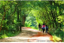 ◆가을맞이◆[ITX-당일]*중식제공*대전 계족산 황토길 맨발걷기+국립세종수목원