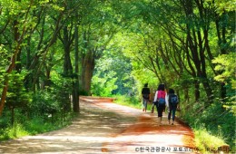◆가을맞이◆[ITX-당일]*중식제공*대전 계족산 황토길 맨발걷기+국립세종수목원