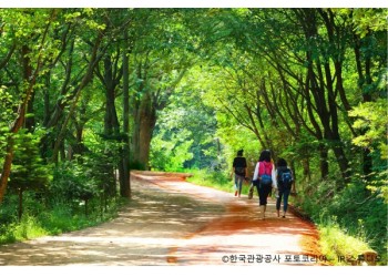 ◆가을맞이◆[ITX-당일]*중식제공*대전 계족산 황토길 맨발걷기+국립세종수목원
