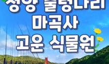 [KTX] 청양호 출렁다리 & 공주마곡사 당일여행-중식제공