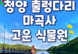 [KTX] 청양호 출렁다리 & 공주마곡사 당일여행-중식제공