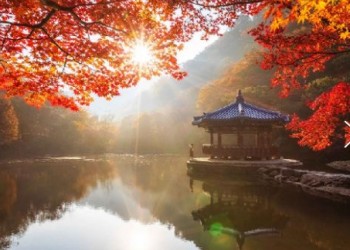 [수원역출발]새마을 - 가을여행의 1번지!! 내장산(내장사)가을단풍 여행(당일)-07:03
