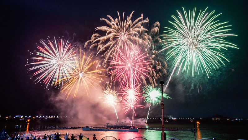 [국악와인열차] 6월 27~28일 보성+해남 수국축제 / 목포 크루즈 선상 불꽃쇼