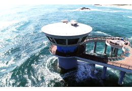 [국악와인열차/1박2일] 2월 28일~3월 1일(토~일) 울진 대게축제 ★덕구온천호텔★