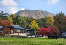 [국악와인열차/1박2일] 11월 7~8일 울진덕구온천 / 불영사 단풍 / 죽변항 수산물축제