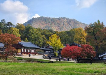 [국악와인열차/1박2일] 11월 7~8일 울진덕구온천 / 불영사 단풍 / 죽변항 수산물축제