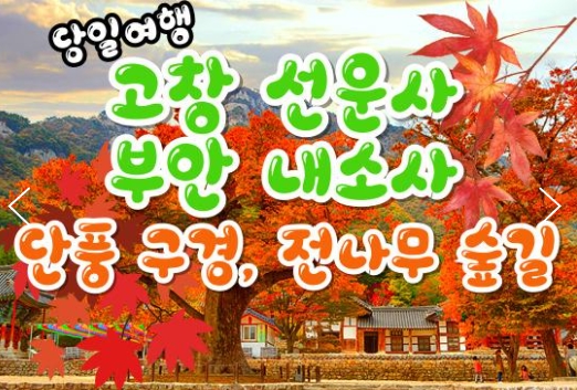 [수서역 출발] KTX - 고창 선운사 가을단풍 & 부안 내소사 * 전나무 숲길 여행 (당일)