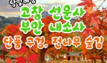 [수서역 출발] KTX - 고창 선운사 가을단풍 & 부안 내소사 * 전나무 숲길 여행 (당일)