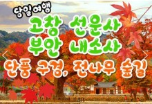 [수서역 출발] KTX - 고창 선운사 가을단풍 & 부안 내소사 * 전나무 숲길 여행 (당일)
