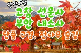 [수서역 출발] KTX - 고창 선운사 가을단풍 & 부안 내소사 * 전나무 숲길 여행 (당일)