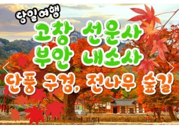 [수서역 출발] KTX - 고창 선운사 가을단풍 & 부안 내소사 * 전나무 숲길 여행 (당일)
