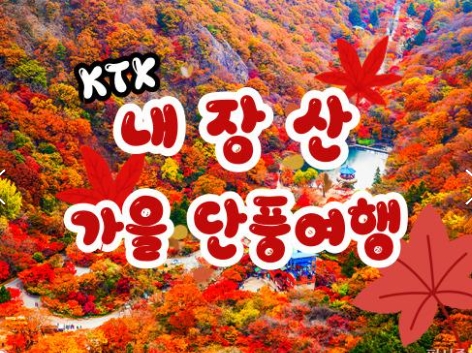 [수서역출발] KTX - 가을여행의 1번지!! 내장산(내장사)가을단풍 여행 (당일)-08:30