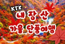 [수서역출발] KTX - 가을여행의 1번지!! 내장산(내장사)가을단풍 여행 (당일)-08:30