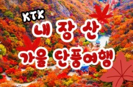 [수서역출발] KTX - 가을여행의 1번지!! 내장산(내장사)가을단풍 여행 (당일)-08:30