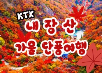 [수서역출발] KTX - 가을여행의 1번지!! 내장산(내장사)가을단풍 여행 (당일)-08:30
