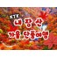 [수서역출발] KTX - 가을여행의 1번지!! 내장산(내장사)가을단풍 여행 (당일)-08:30