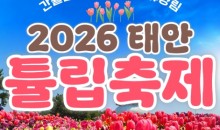 무궁화호 - 태안 세계튤립꽃박람회 & 간월도 & 안면도 봄꽃여행 (당일)