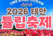 무궁화호 - 태안 세계튤립꽃박람회 & 간월도 & 안면도 봄꽃여행 (당일)