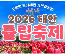 무궁화호 - 태안 세계튤립꽃박람회 & 간월도 & 안면도 봄꽃여행 (당일)
