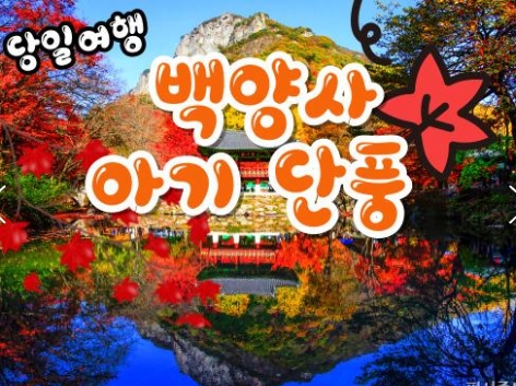 [수서역 출발] KTX - 천년 고찰!! 백양사 애기 가을단풍 여행(당일)