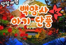 [수서역 출발] KTX - 천년 고찰!! 백양사 애기 가을단풍 여행(당일)