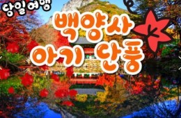 [수서역 출발] KTX - 천년 고찰!! 백양사 애기 가을단풍 여행(당일)