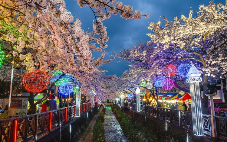 KTX- 진해군항제 기차여행(당일)-08:23 출발