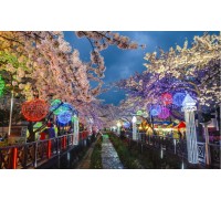 KTX- 진해군항제 기차여행(당일)-08:23 출발