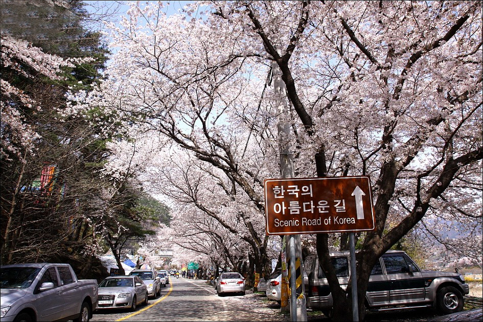 KTX- 하동 십리벚꽃길+화개장터 & 남원 명소 기차여행(당일)