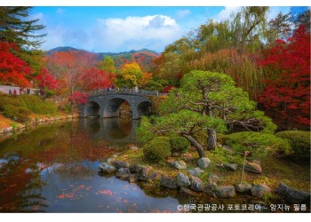 ◆가을맞이◆[수서출발-당일]경주 통일전 은행나무길/불국사 애기단풍