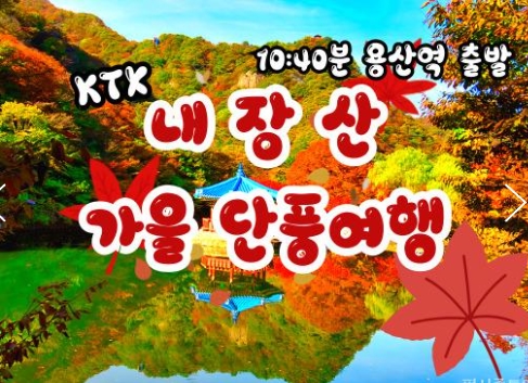 [수서역출발] KTX - 가을여행의 1번지!! 내장산(내장사)가을단풍 여행 (당일)-11:00