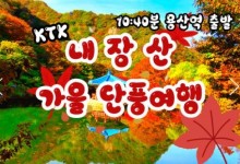 [수서역출발] KTX - 가을여행의 1번지!! 내장산(내장사)가을단풍 여행 (당일)-11:00