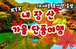 [수서역출발] KTX - 가을여행의 1번지!! 내장산(내장사)가을단풍 여행 (당일)-11:00
