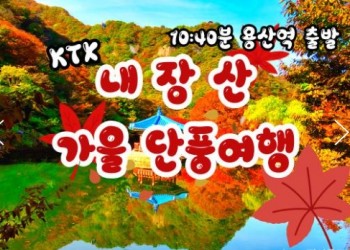 [수서역출발] KTX - 가을여행의 1번지!! 내장산(내장사)가을단풍 여행 (당일)-11:00