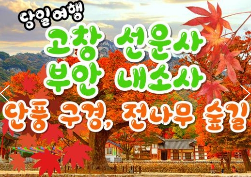 KTX - 고창 선운사 가을단풍 & 부안 내소사 * 전나무 숲길 여행 (당일)
