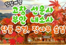 KTX - 고창 선운사 가을단풍 & 부안 내소사 * 전나무 숲길 여행 (당일)