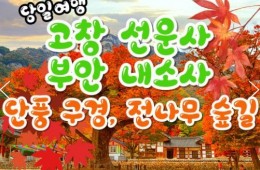 KTX - 고창 선운사 가을단풍 & 부안 내소사 * 전나무 숲길 여행 (당일)