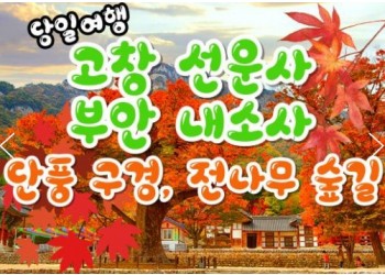 KTX - 고창 선운사 가을단풍 & 부안 내소사 * 전나무 숲길 여행 (당일)