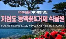 {경상권/수도권/충청권출발] ★봄꽃★거제 지심도 동백꽃&식물원 정글돔(당일)