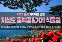 {경상권/수도권/충청권출발] ★봄꽃★거제 지심도 동백꽃&식물원 정글돔(당일)
