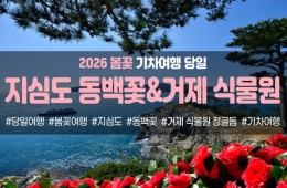 {경상권/수도권/충청권출발] ★봄꽃★거제 지심도 동백꽃&식물원 정글돔(당일)