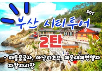 SRT - 부산시티투어(2탄) - 해운대 해변열차 & 용궁사 & 아난티코브 여행(당일)