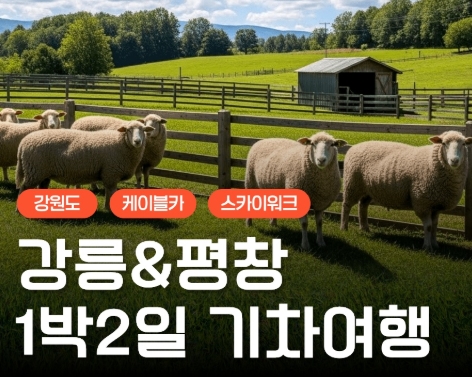 [KTX] 강릉(안목항&바다부채길) & 평창(발왕산&오대산) 1박2일 여행
