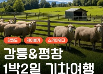 [KTX] 강릉(안목항&바다부채길) & 평창(발왕산&오대산) 1박2일 여행