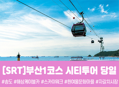 SRT - 부산시티투어(1탄) - 태종대/송도케이블카/흰여울문화마을/산만디투어/자갈치시장 여행(당일)