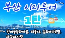 SRT - 부산시티투어(1탄) - 태종대/송도케이블카/흰여울문화마을/산만디투어/자갈치시장 여행(당일)